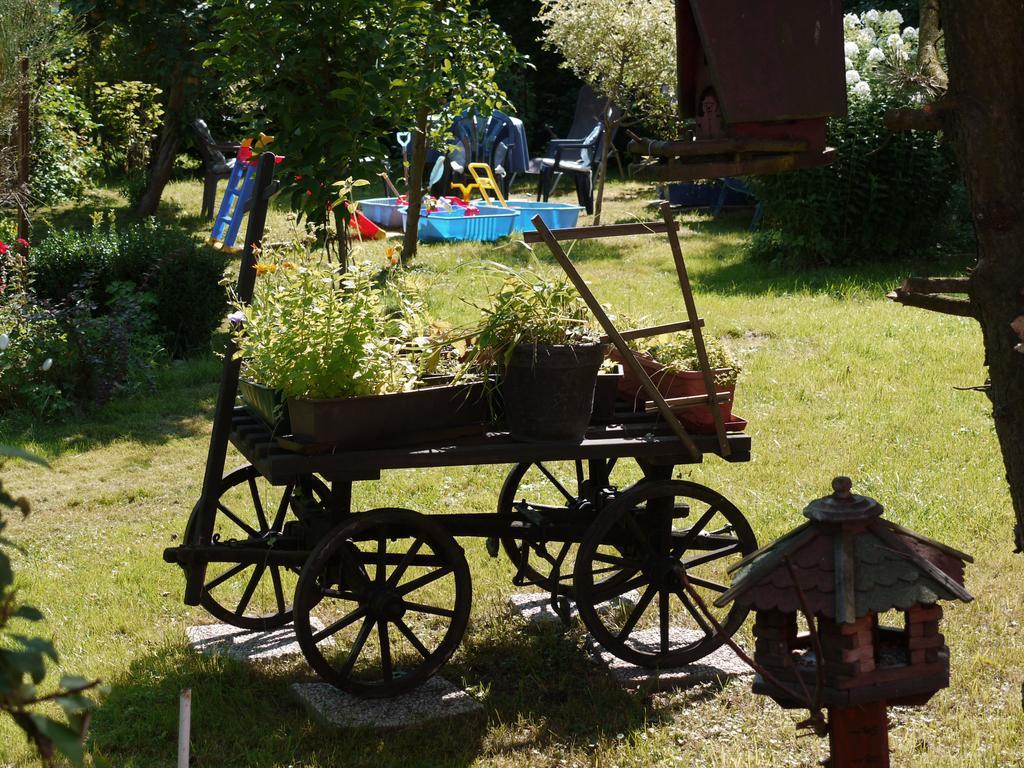Konigswalde Familien-Ferienwohnung Haustein מראה חיצוני תמונה